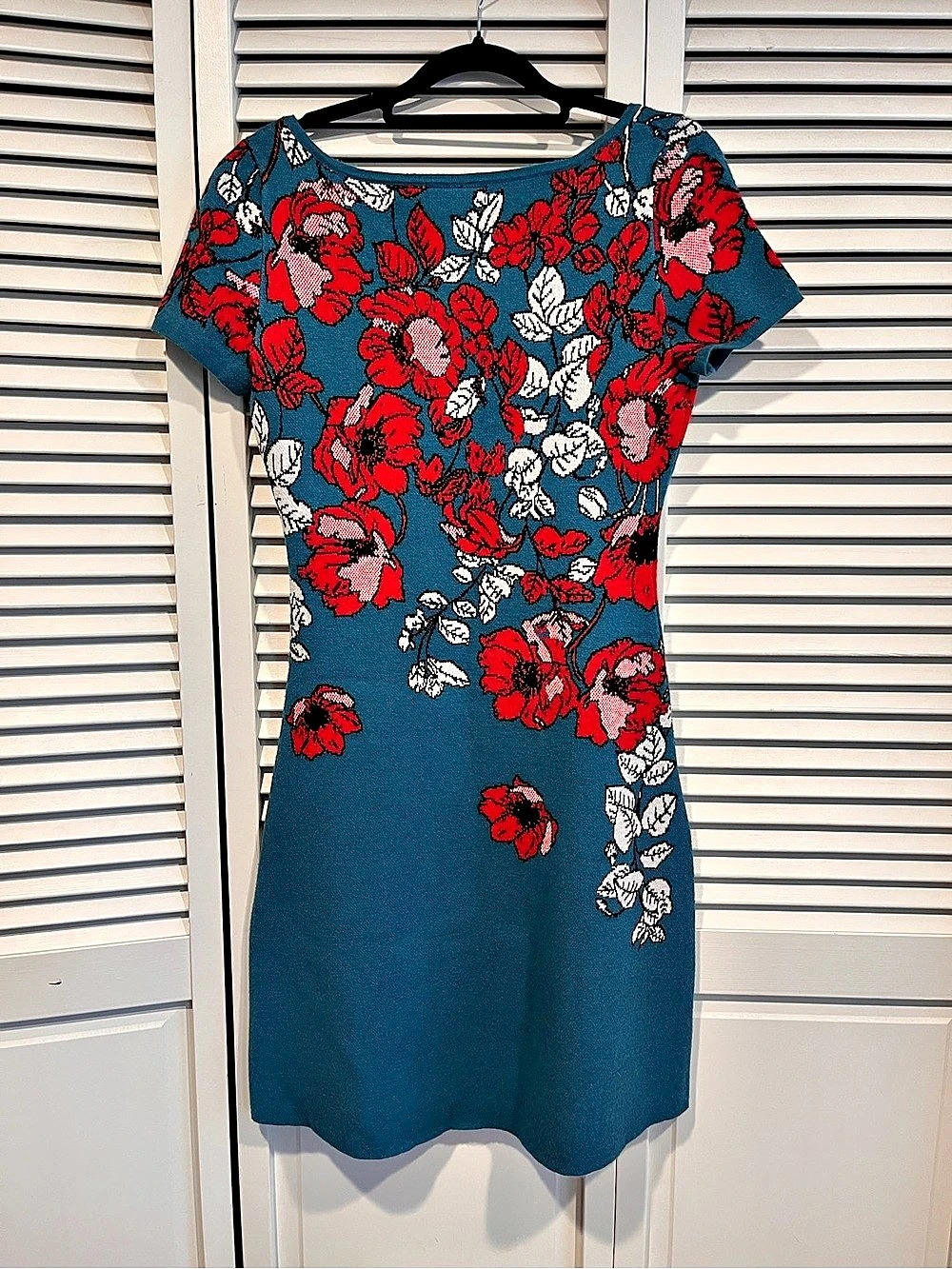 Maeve Floral Mini Dress in Blue & Red Size XS Like New